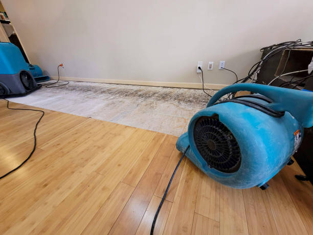 Professional Emergency Water Damage technician working in Haskell, AR